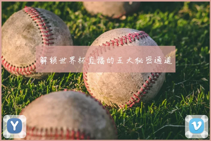 解锁世界杯直播的五大秘密通道