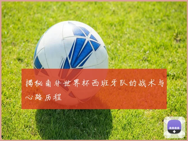 揭秘南非世界杯西班牙队的战术与心路历程
