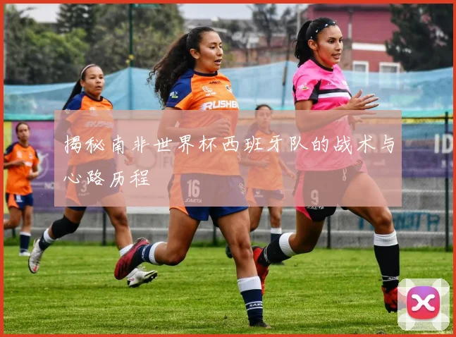 揭秘南非世界杯西班牙队的战术与心路历程