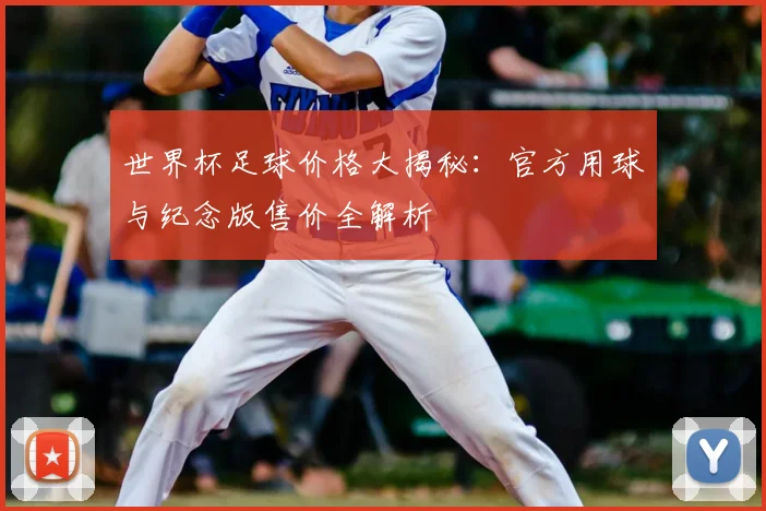 世界杯足球价格大揭秘：官方用球与纪念版售价全解析