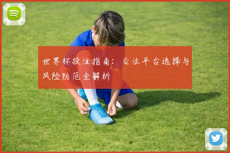 世界杯投注指南：合法平台选择与风险防范全解析