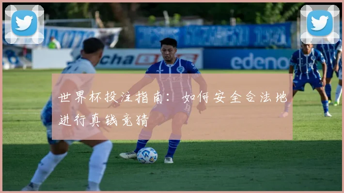 世界杯投注指南:如何安全合法地进行真钱竞猜