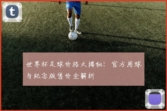 世界杯足球价格大揭秘：官方用球与纪念版售价全解析