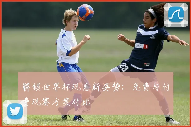 解锁世界杯观看新姿势：免费与付费观赛方案对比