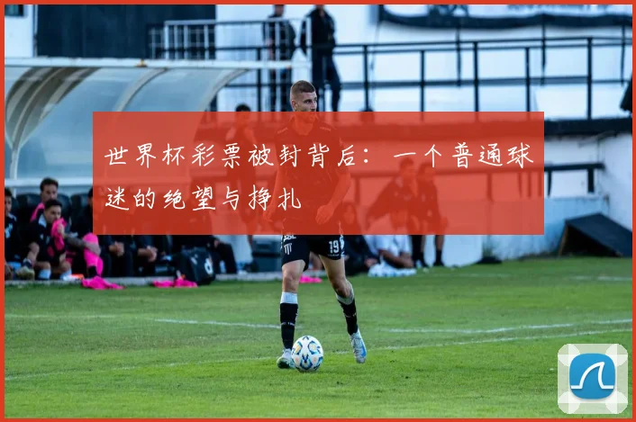 世界杯彩票被封背后：一个普通球迷的绝望与挣扎