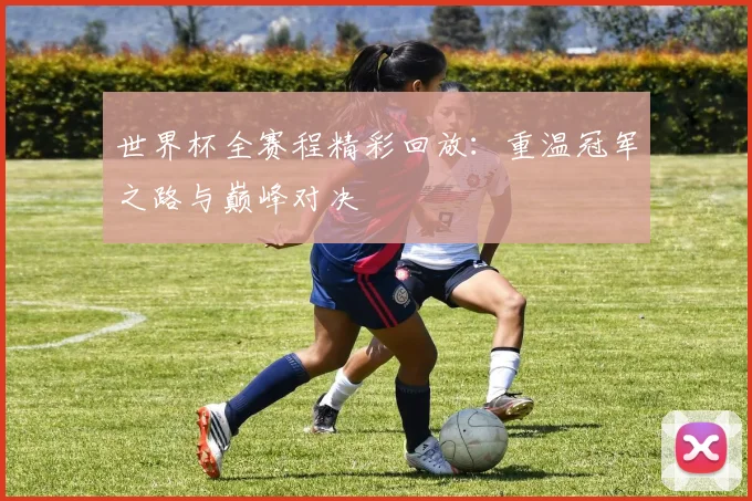 世界杯全赛程精彩回放：重温冠军之路与巅峰对决