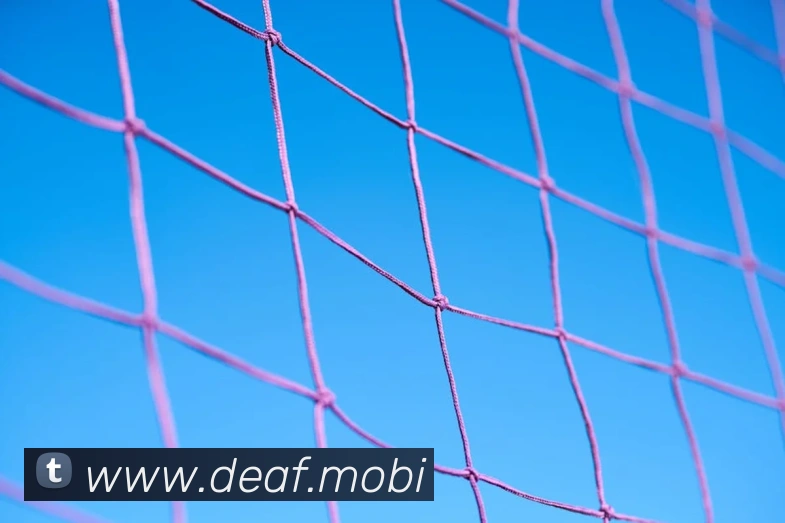 beat365唯一官网服务体系